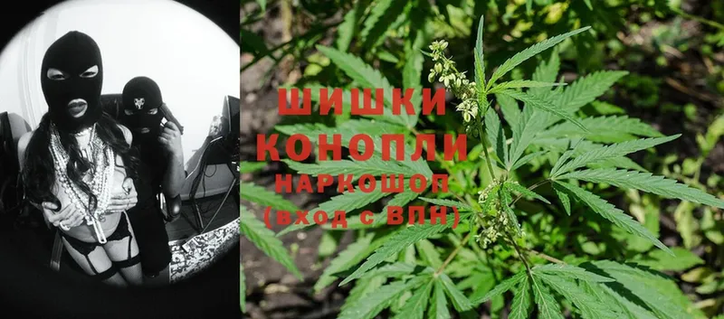 Каннабис White Widow  купить наркотики цена  Карабулак 